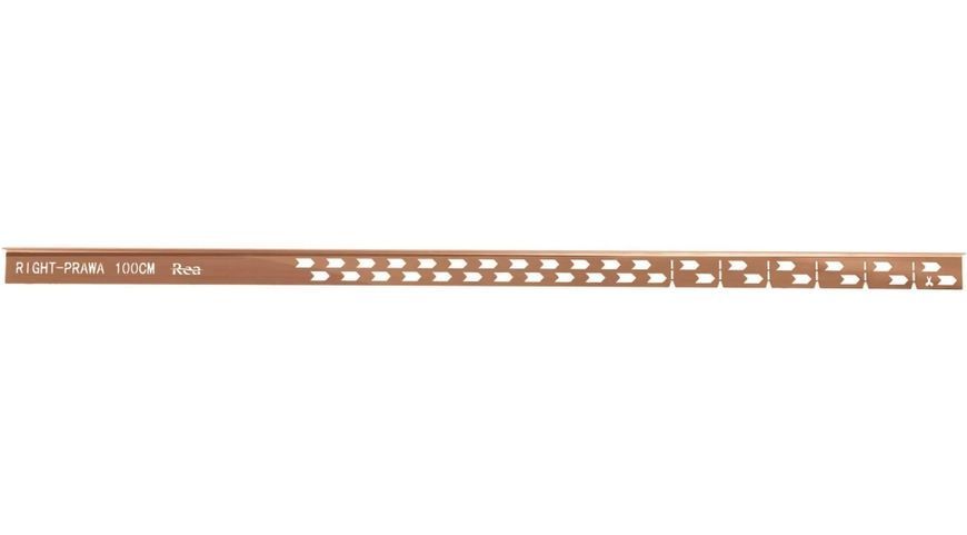профіль похилий Rea для душового піддону 100 см правий, brush copper (REA-K9491) REA-K9491 фото