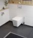 Інсталяція KollerPool AQUA LINE + EDGE Black панель змиву + підвісний унітаз KVADRO з сидінням Soft-close ( змив Tornado ) 817dca0a-2eda-11ef-bb6b-a0423f42a789 фото 9