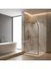 душова перегородка Rea Sky 100x200 transparent, brush gold (REA-K4330) REA-K4330 фото 2