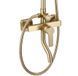 Душовий гарнітур REA ARGUS BRUSHED GOLD золотий матовий з виливом REA-P7841 фото 2