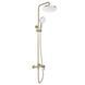 душова система Rea Ontario brushed gold (REA-P9494) REA-P9494 фото 3
