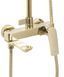 Душовий гарнітур REA AVALON GOLD з виливом REA-P8812 фото 3