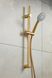 MOZA BRUSHED GOLD Душова стійка ARMATURA (841-365-31) 841-365-31 фото 2